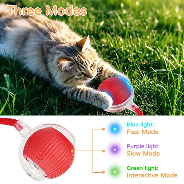 RoverRoll Smart Pet Play Ball